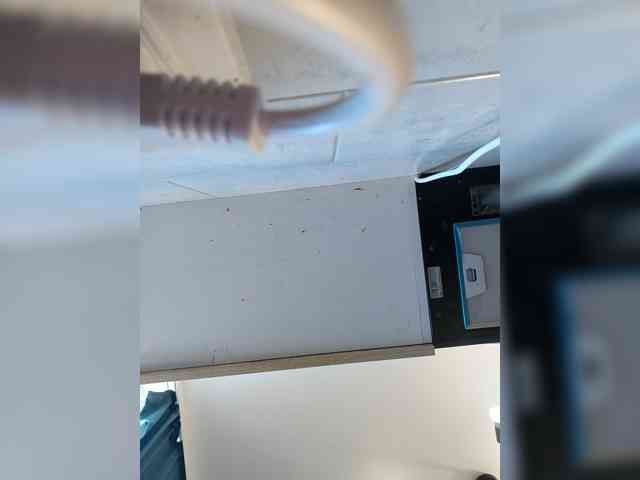 AngelDolores webcam