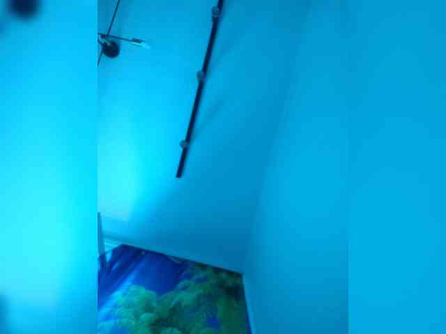 AngelDolores webcam
