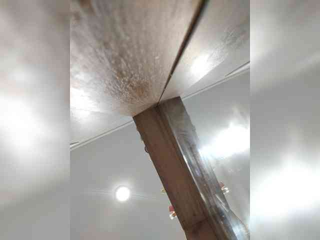 Bogina2 webcam