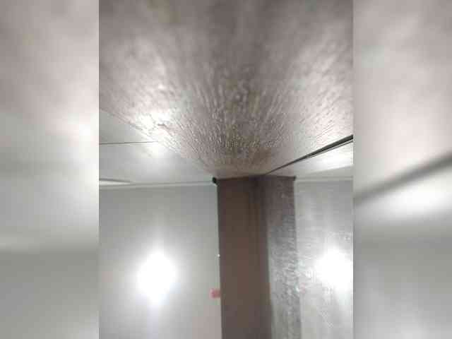 AngelDolores webcam
