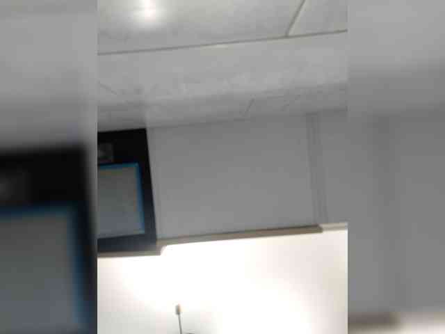 Bogina2 webcam