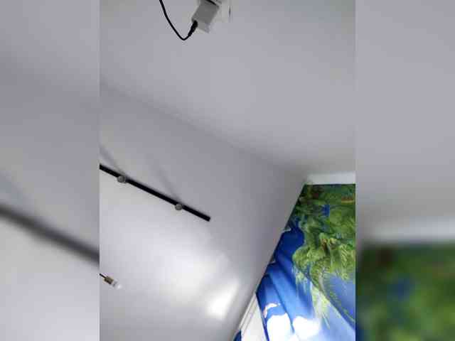 Bogina2 webcam