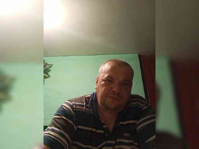 Dog-Gangster