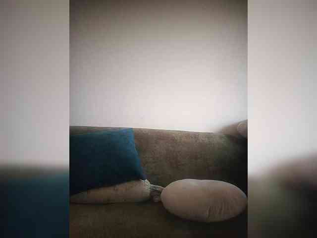 Finevishy webcam
