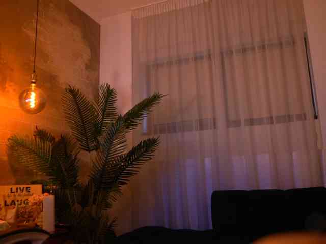 Modelo: PerfectT33n