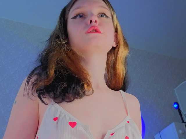 Hi-Kitti live cam