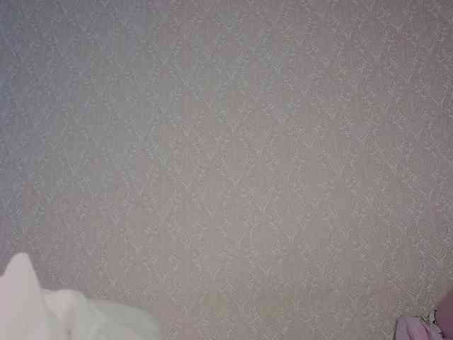 TinyDoll webcam