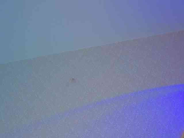 TinyDoll webcam