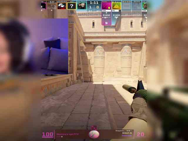 whiteTEA webcam