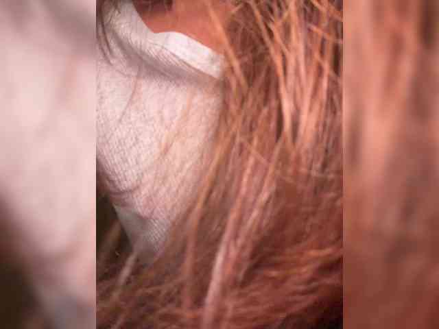 Horosha webcam
