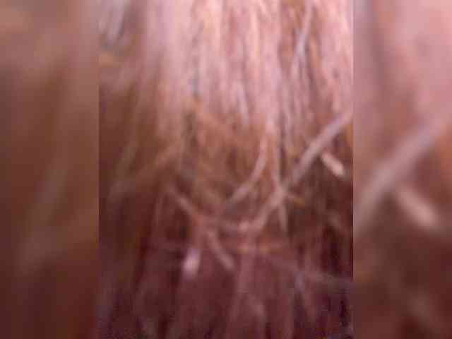 horosha webcam