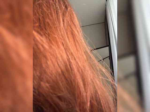 Horosha webcam