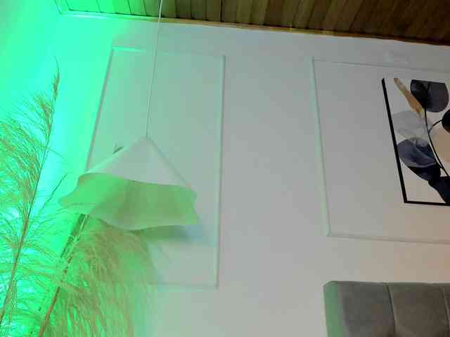 Nicole_Voshkie webcam