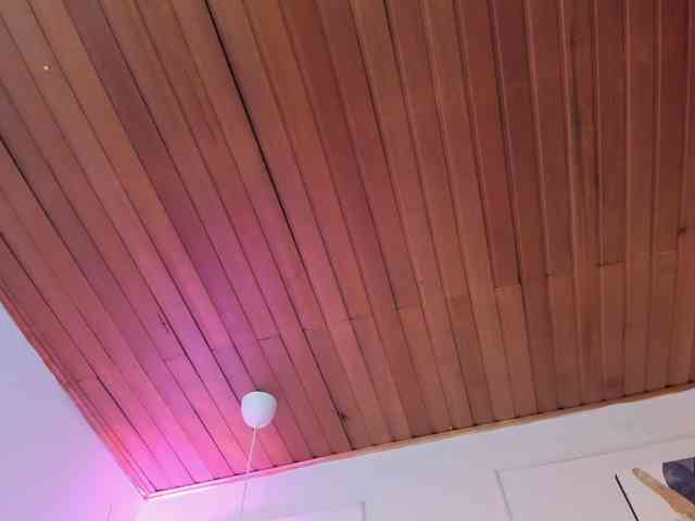 Nicole_Voshkie webcam