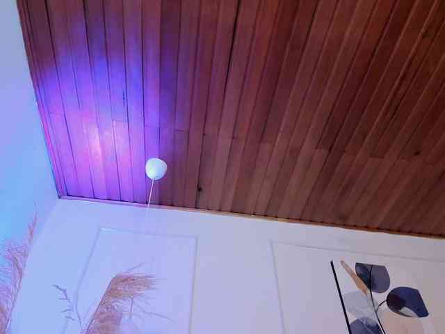 Nicole_Voshkie webcam