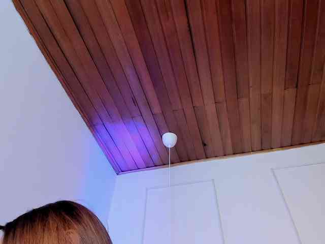 Nicole_Voshkie webcam