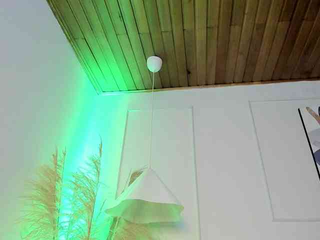 Nicole_Voshkie webcam