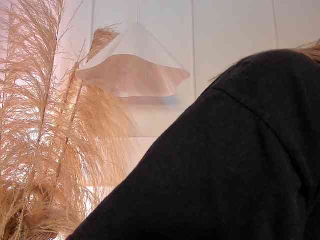 Nicole_Voshkie webcam