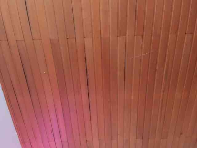 Nicole_Voshkie webcam
