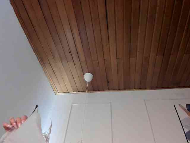 Nicole_Voshkie webcam