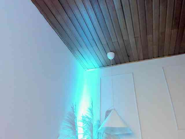 Nicole_Voshkie webcam