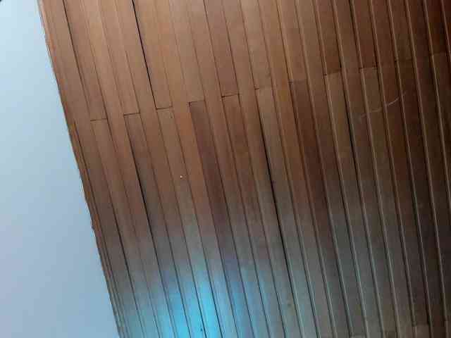 Nicole_Voshkie webcam