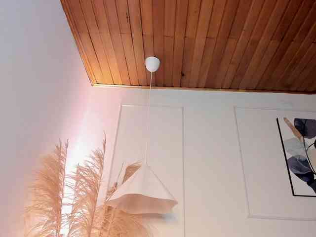 Nicole_Voshkie webcam