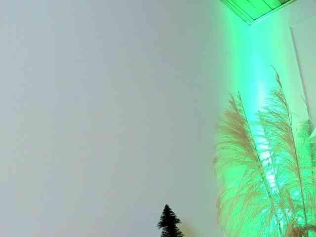 Nicole_Voshkie webcam