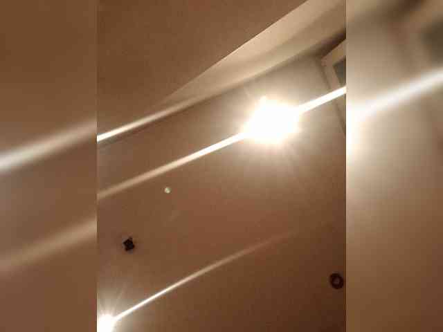 Matrixreakt Sex Cam Show