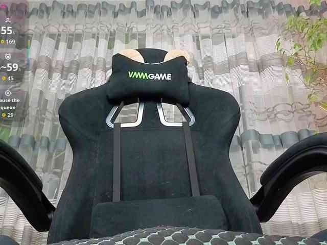 linadevine webcam