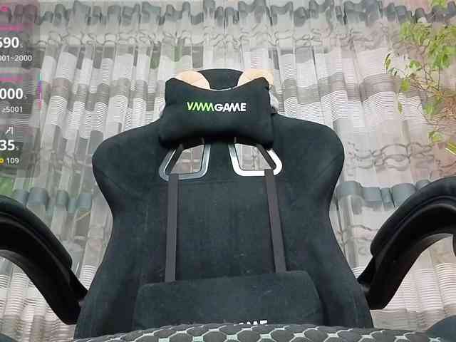 linadevine webcam