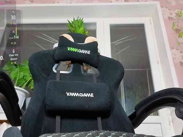 linadevine webcam