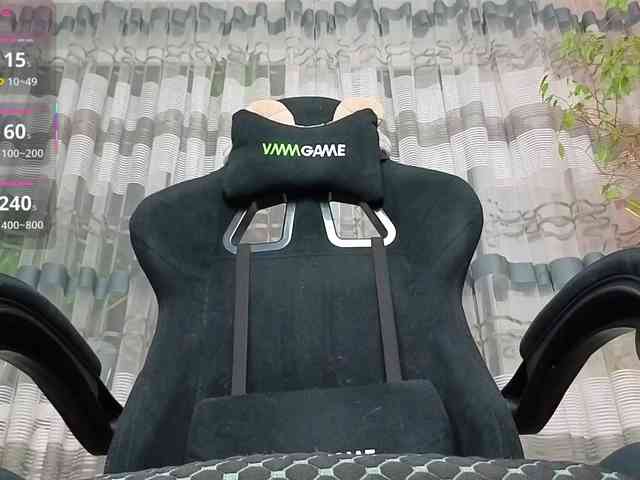 linadevine webcam
