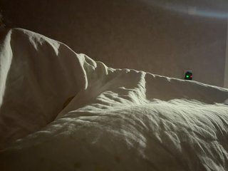 top_queen Porn Show