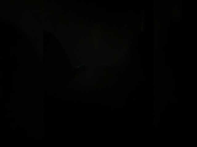kisssssesmee live cam on BongaCams