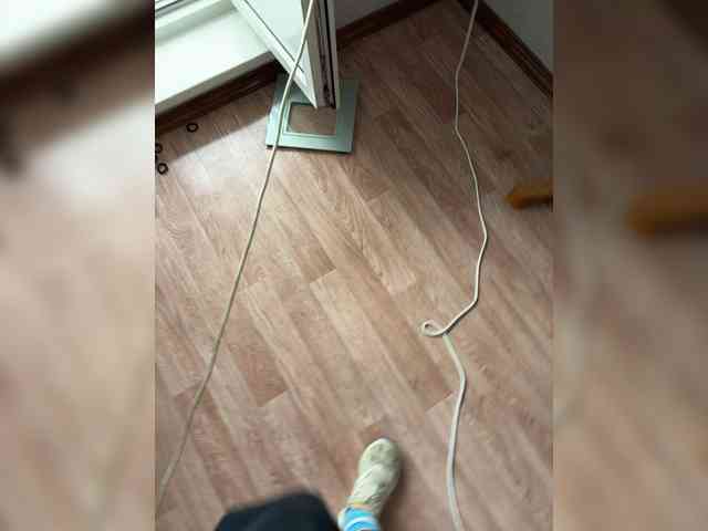 top_queen webcam