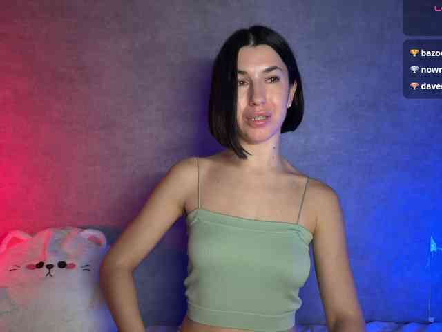 Модель: Melaminsy