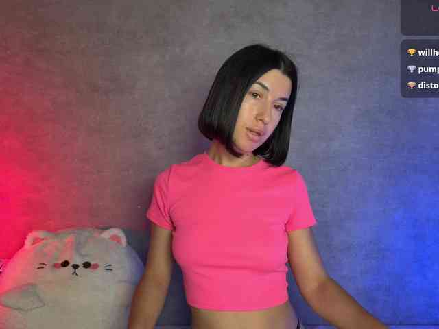 Melaminsy webcam