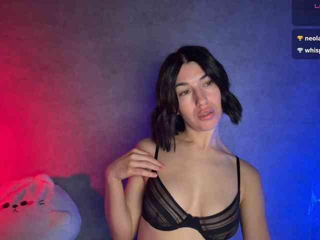 Melaminsy webcam