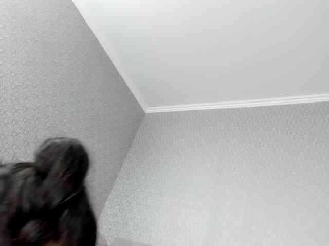 KellyKisa webcam