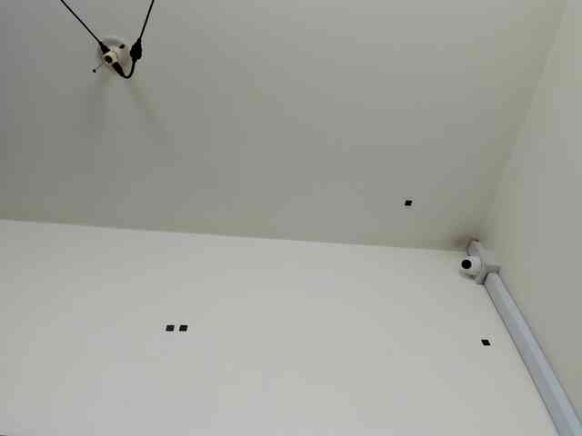 alicee-18 webcam
