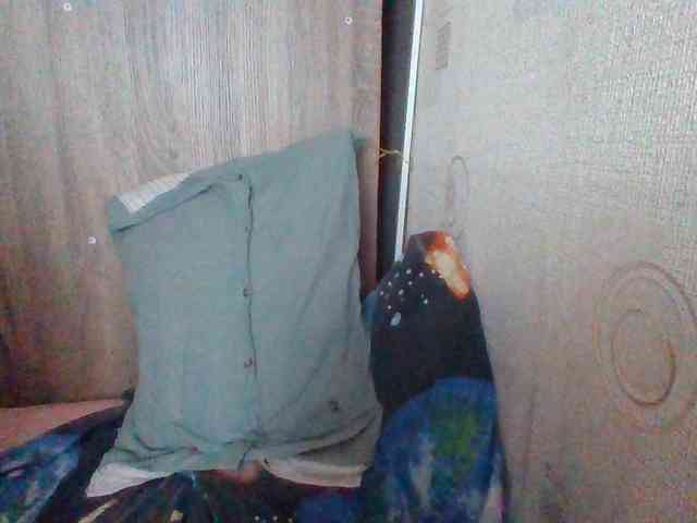 AllaSowinskaya webcam