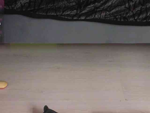 Devilsbride webcam