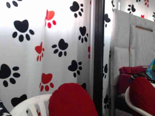 Pocahontas17 webcam
