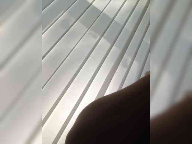 Jenis-1 webcam