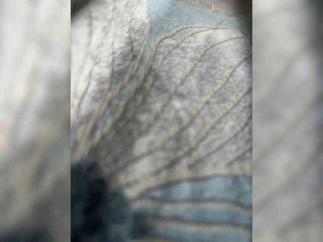 RaiAd