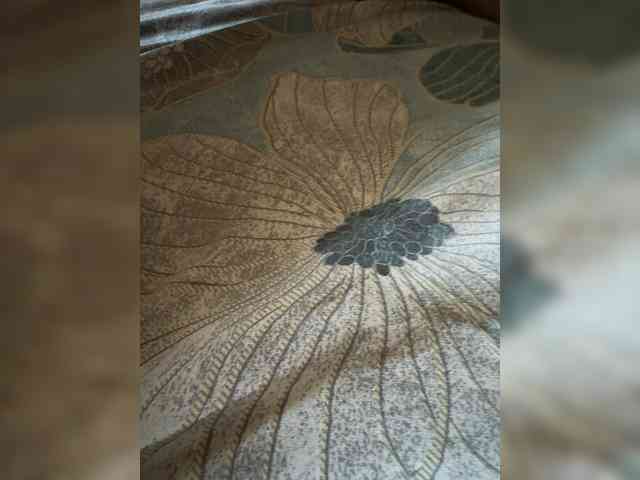 RaiAd