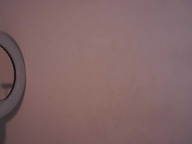 alondrasparrow live cam on BongaCams