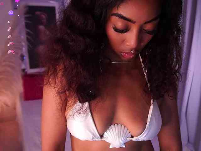 alondrasparrow webcam