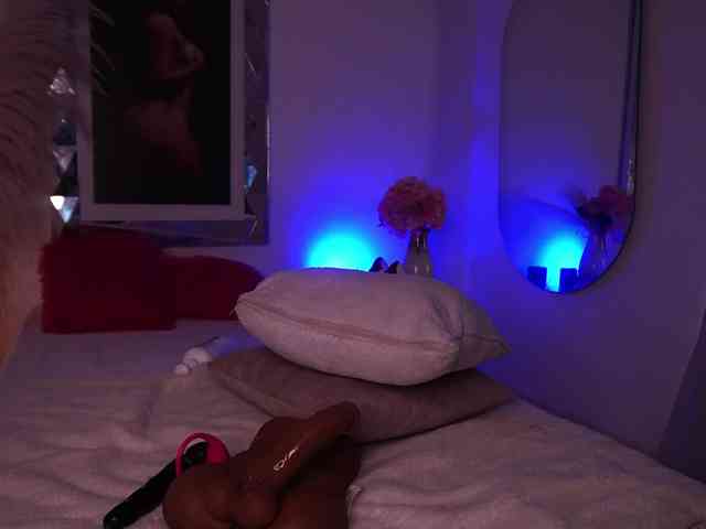 alondrasparrow webcam